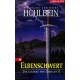 Elbenschwert. Von Wolfgang Hohlbein (2005).