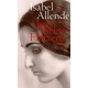 Ines meines Herzens. Von Isabel Allende (2007).