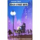 Die Bakerstreet Boys. Ein Detektiv verschwindet. Von Anthony Read (2007).