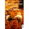 Das geheime Leben der Hunde. Von Elizabeth Marshall Thomas (1996).