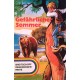 Gefährlicher Sommer. Von M.E. Bell (1974).