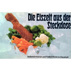 Die Eiszeit aus der Steckdose. Von Martha Schmidt (1979).