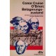 Belagerungszustand. Von Conor Cruise O'Brien (1991).