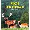 Noch lebt der Wald. Von Gustav Koller (1993).