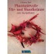 Phantasievolle Tür- und Wandkränze. Von Johanna Haid (1993).