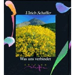 Was uns verbindet. Von Ulrich Schaffer (1996).