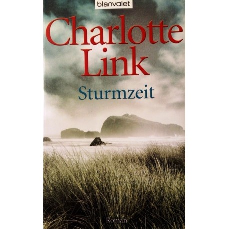 Sturmzeit. Von Charlotte Link (2010).