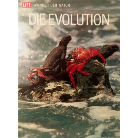 Die Evolution. Von Ruth Moore (1972).
