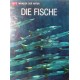 Die Fische. Von F.D. Ommanney (1964).