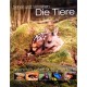 Die Tiere. Von Jayne Parsons (2004).