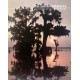 Das Mississippi-Delta. Von Peter S. Feibleman (1989).
