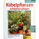 Kübelpflanzen erfolgreich pflanzen. Von H. Mittmann (1999).