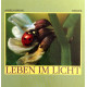 Leben im Licht. Von Anselm Spring (1989).