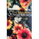 Sommerbeben. Von Anne Rivers Siddons (1995).