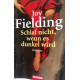 Schlaf nicht, wenn es dunkel wird. Von Joy Fielding (2006).