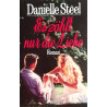 Es zählt nur die Liebe. Von Danielle Steel (1984).