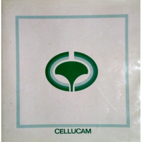 Cellucam. Bau einer Zellstofffabrik in Edea, Kamerun (1979).