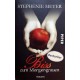 Biss zum Morgengrauen. Von Stephenie Meyer (2009).