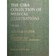 The Ciba Collection of Medical Illustrations. Volume 1. Nervous System. Von Frank H. Netter (1986).